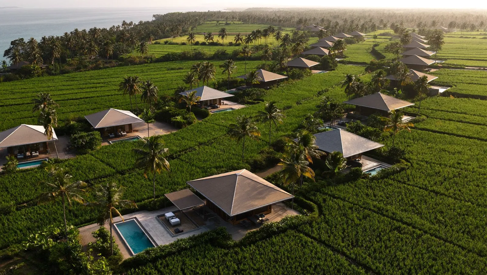 Aerial view of Bali villas with pools among green rice terraces near the ocean